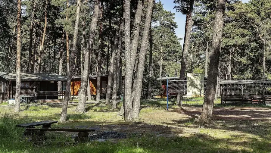 Teren ośrodka w sosnowym lesie, domki i miejsce na ognisko